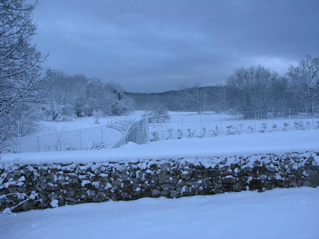 Stirenca B&B Terst Exteriér fotografie