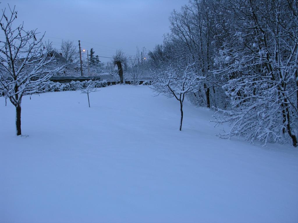 Stirenca B&B Terst Exteriér fotografie